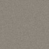 Anderson Tuftex Carpet Cashmere Classic Iii Birch Bark 00522_CCS70