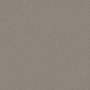 Anderson Tuftex Carpet Cashmere Classic Iii Birch Bark 00522_CCS70
