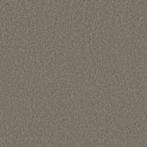 Anderson Tuftex Carpet Cashmere Classic Iii Barnboard 00525_CCS70