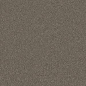 Anderson Tuftex Carpet Cashmere Classic Iii Chinchilla 00526_CCS70