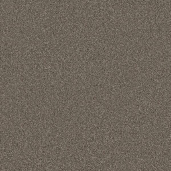 Anderson Tuftex Carpet Cashmere Classic Iii Chinchilla 00526_CCS70