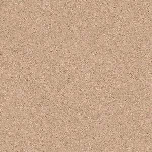 Anderson Tuftex Carpet Cashmere Classic Iii Maplewood North 00600_CCS70