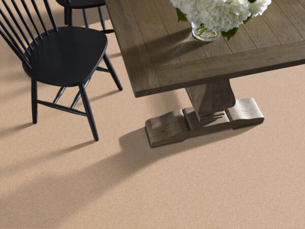 Anderson Tuftex Carpet Cashmere Classic Iii Maplewood North 00600_CCS70 - Image 2