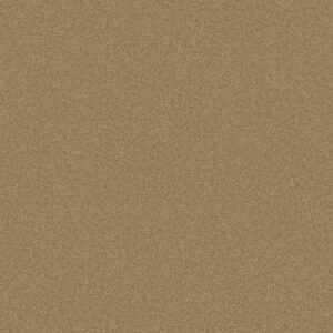 Anderson Tuftex Carpet Cashmere Classic Iii Navajo 00703_CCS70