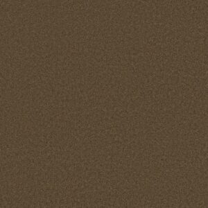 Anderson Tuftex Carpet Cashmere Classic Iii Bison 00707_CCS70