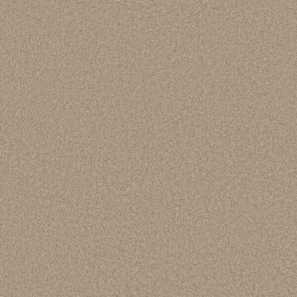 Anderson Tuftex Carpet Cashmere Classic Iii White Pine 00720_CCS70