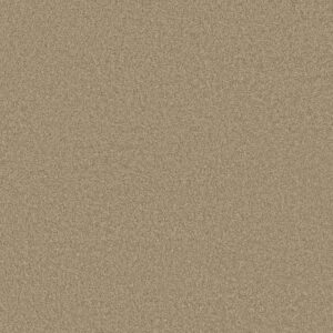 Anderson Tuftex Carpet Cashmere Classic Iii Pecan Bark 00721_CCS70