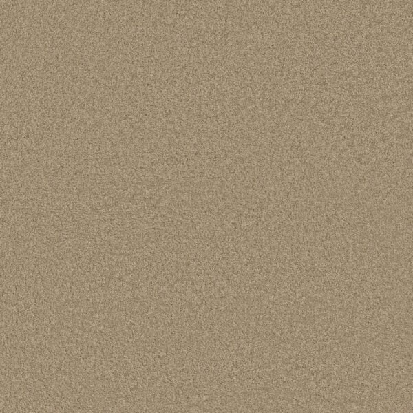 Anderson Tuftex Carpet Cashmere Classic Iii Pecan Bark 00721_CCS70