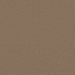 Anderson Tuftex Carpet Cashmere Classic Iii Pebble Path 00722_CCS70