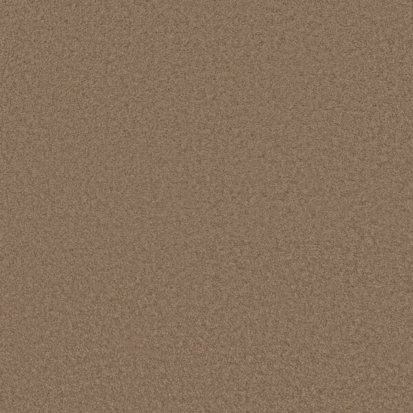Anderson Tuftex Carpet Cashmere Classic Iii Pebble Path 00722_CCS70