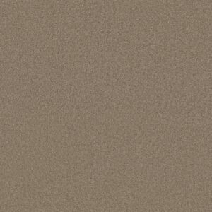 Anderson Tuftex Carpet Cashmere Classic Iii Mesquite 00724_CCS70