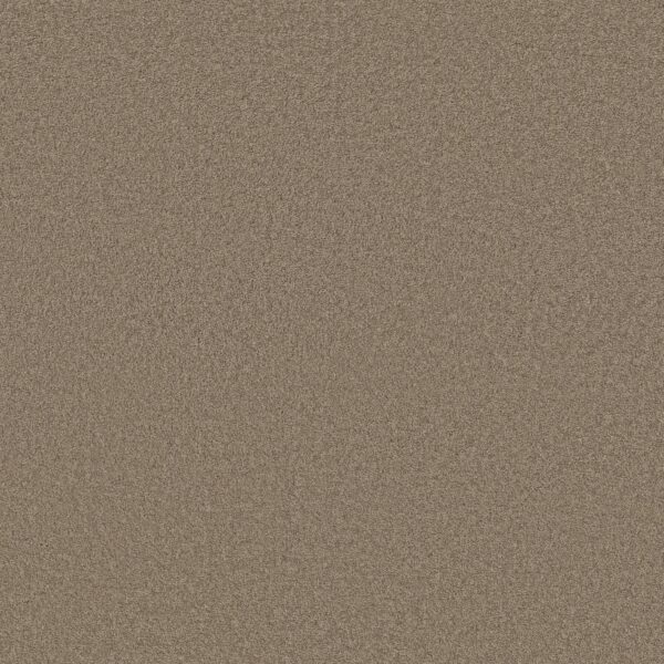 Anderson Tuftex Carpet Cashmere Classic Iii Mesquite 00724_CCS70