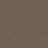 Anderson Tuftex Carpet Cashmere Classic Iii Spring - Wood 00725_CCS70