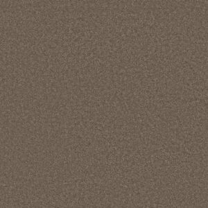 Anderson Tuftex Carpet Cashmere Classic Iii Spring - Wood 00725_CCS70