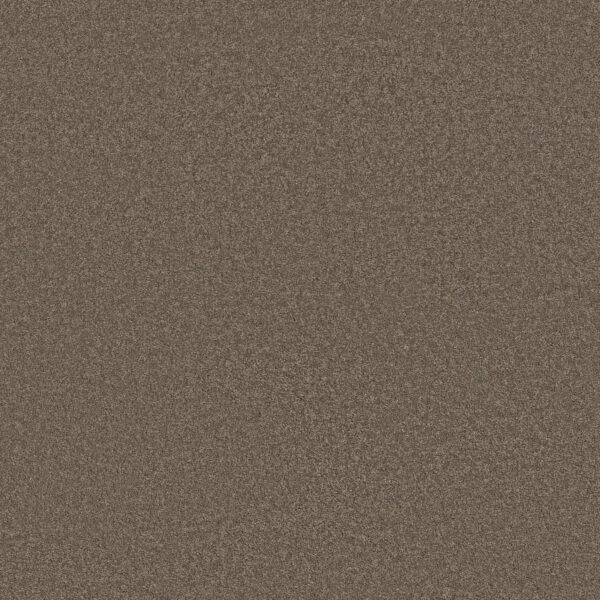 Anderson Tuftex Carpet Cashmere Classic Iii Spring - Wood 00725_CCS70