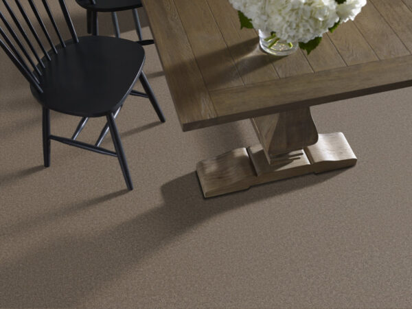 Anderson Tuftex Carpet Cashmere Classic Iii Spring - Wood 00725_CCS70 - Image 2
