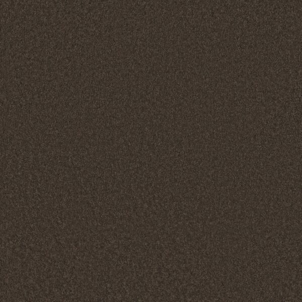 Anderson Tuftex Carpet Cashmere Classic Iii Chestnut 00726_CCS70
