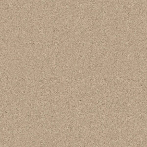 Anderson Tuftex Carpet Cashmere Classic Iv Yearling 00107_CCS71