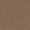 Anderson Tuftex Carpet Cashmere Classic Iv Pebble Path 00722_CCS71