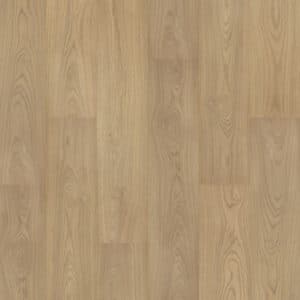 Mohawk Eden Trails Stallion Hickory