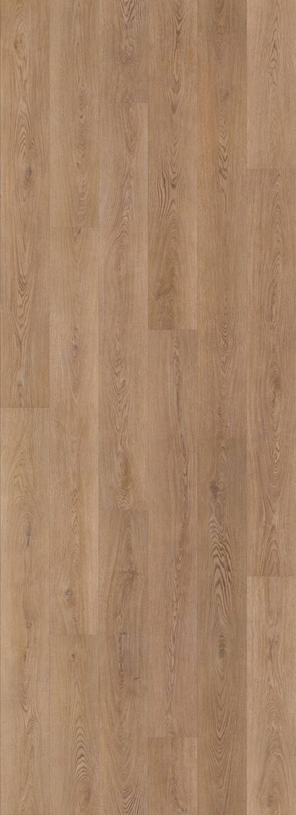 COREtec Vinyl CT ORG PREM 3/4 Saddle Oak 04058_CR500 - Image 2