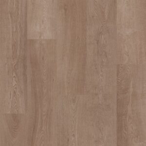 Dreamweaver Carpet Riverwood Sandalwood Carpet D040_4011