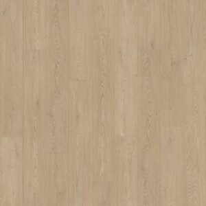 Dreamweaver Carpet Transform Tempo Carpet D100_9906