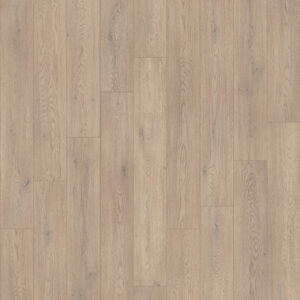 Dreamweaver Carpet Transform Phantom Carpet D100_9901