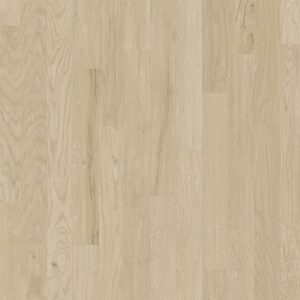 Dreamweaver Carpet Nurture Keystone Carpet D2021_6004