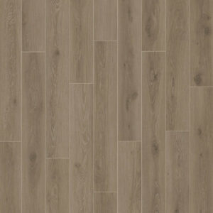 Dreamweaver Carpet Nurture Arbor Carpet D2021_6026