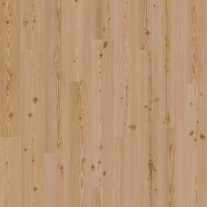 Dreamweaver Carpet Nurture Ridge Carpet D2021_6029