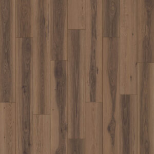 Dreamweaver Carpet Nurture Mesa Carpet D2021_6031