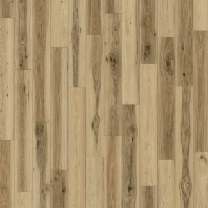 Dreamweaver Carpet Cultivate Acadia Carpet D2023_6020