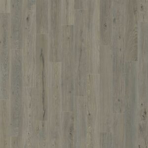 Dreamweaver Carpet American Standard Laguna Carpet D2026_6202