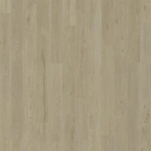 Dreamweaver Carpet American Standard Islamorada Carpet D2026_6204