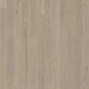 Dreamweaver Carpet American Standard Jupiter Carpet D2026_6205