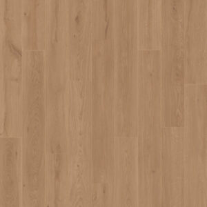 Dreamweaver Carpet American Standard Daytona Carpet D2026_6213