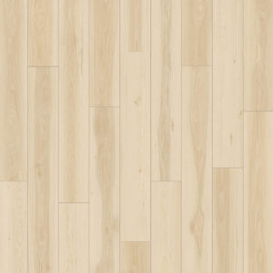 Dreamweaver Carpet American Standard Rosemary Carpet D2026_6214