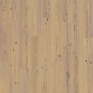 Dreamweaver Carpet American Standard Folly Carpet D2026_6215