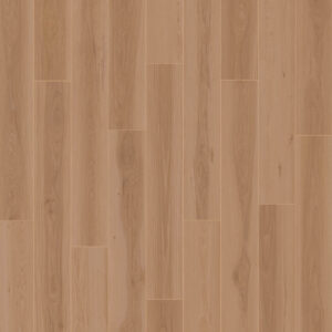 Dreamweaver Carpet American Standard Malibu Carpet D2026_6217