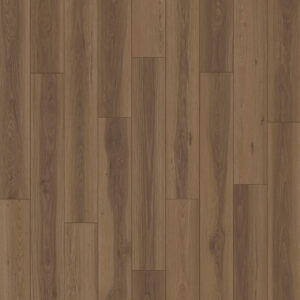 Dreamweaver Carpet American Standard Venice Carpet D2026_6218