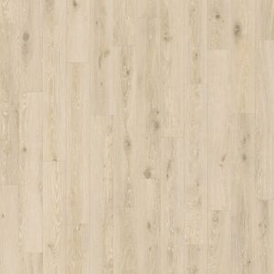 Dreamweaver Carpet Divine Stardust Carpet D2027_5005