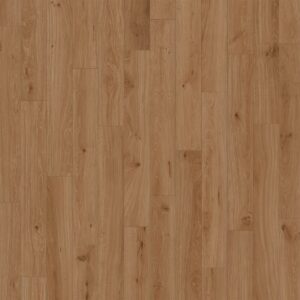 Dreamweaver Carpet Antiquity Garden Grove Carpet D2028_1106