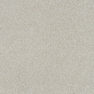 Dreamweaver Carpet Mirage I Bravo Carpet 6740_4992