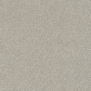 Dreamweaver Carpet Mirage II Bravo Carpet 6750_4992