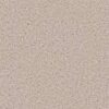Shaw Floors Carpet All Star Weekend I 15' Butter Cream 00200_E0141