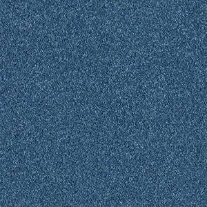 Shaw Floors Carpet All Star Weekend I 15' Indigo 00441_E0141