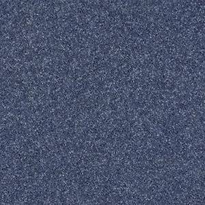 Shaw Floors Carpet All Star Weekend I 15' Steel 00544_E0141