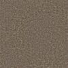Shaw Floors Carpet All Star Weekend I 15' Hearth Stone 00700_E0141