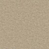 Shaw Floors Carpet All Star Weekend II 15' Flax Seed 00103_E0142